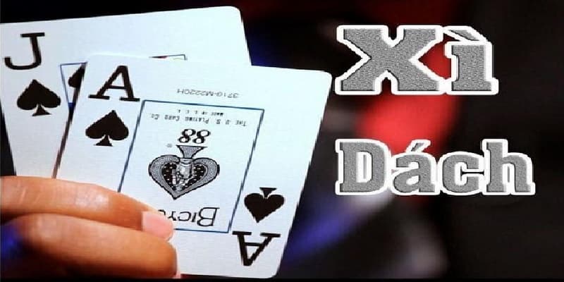 Xì dách 2 Xì dách 2 giới thiệu